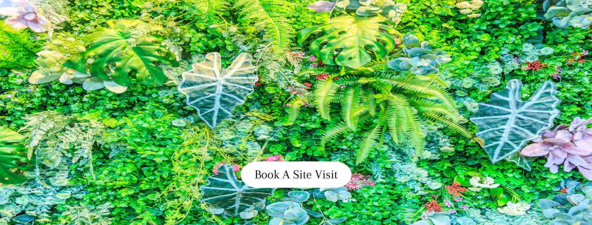 Landscaping services in Ahmedabad, Gandhinagar, Vadodara, Surat & Sanand